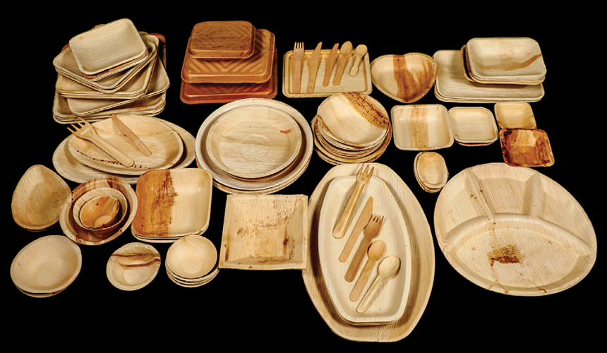 Exciting Benefits of Areca Leaf Plates for Everyone